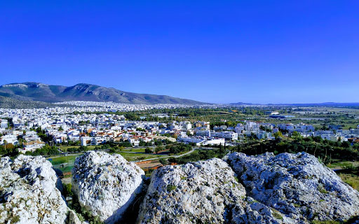 ΑΠΟΦΡΑΞΕΙΣ ΑΛΙΜΟΣ ΛΟΦΟΣ ΠΑΝΙ